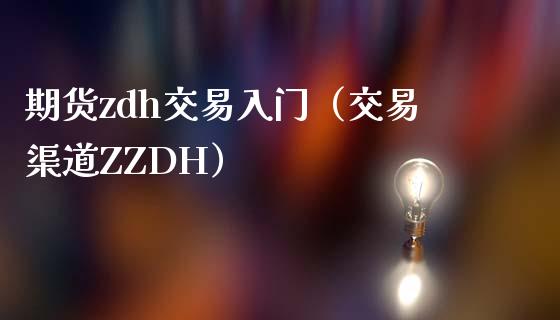 期货zdh交易入门（交易渠道ZZDH）