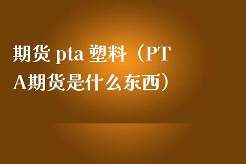 期货 pta 塑料（PTA期货是什么东西）