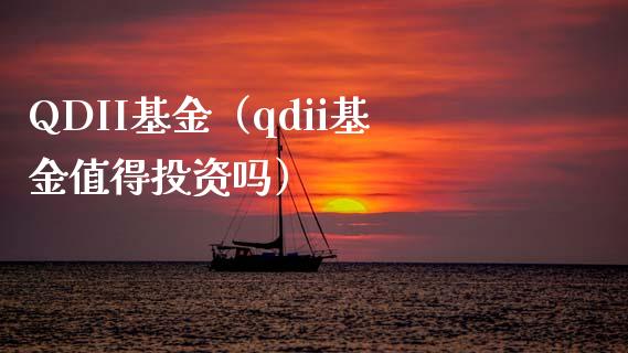 QDII基金（qdii基金值得投资吗）