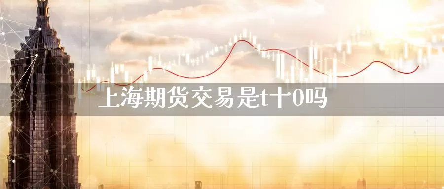 上海期货交易是t十0吗