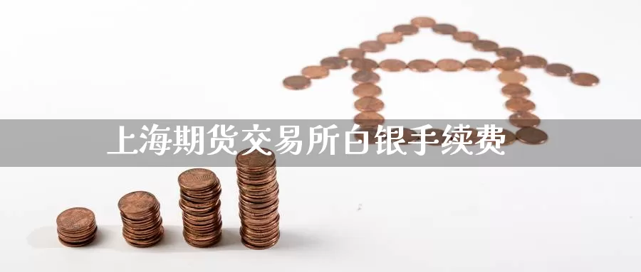 上海期货交易所白银手续费